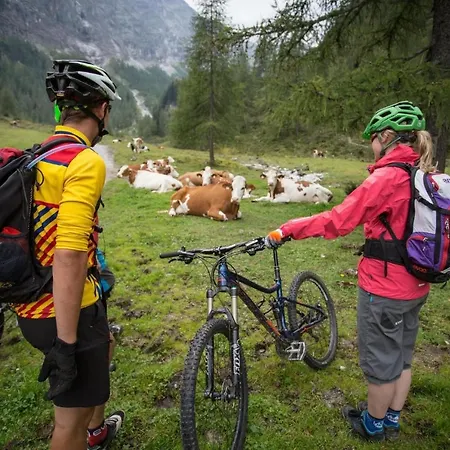 In Near Slopes Daire Flachau