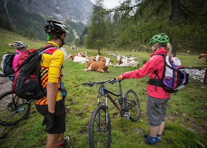 In Near Slopes Appartement Flachau